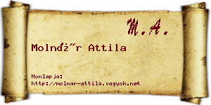 Molnár Attila névjegykártya