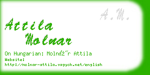 attila molnar business card